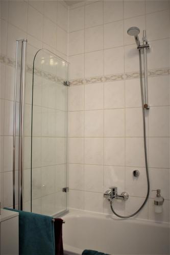 a bathroom with a shower and a bath tub at SALZHAUSBLICK BUSINESS APARTMENTS - Zentrale Lage am Salzhaus - MwSt-Rechnung verfügbar in Zittau