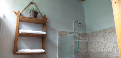 a bathroom with two wooden shelves and a shower at Posada Casa Topiltzin in Tepoztlán