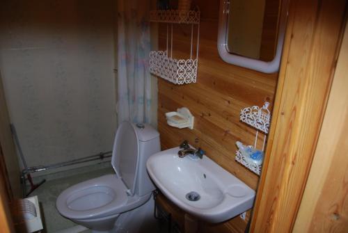 a small bathroom with a toilet and a sink at Lidens Stugby in Vaggeryd