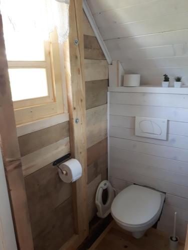 a small bathroom with a toilet and a window at Robinson Horseville in Karlovac