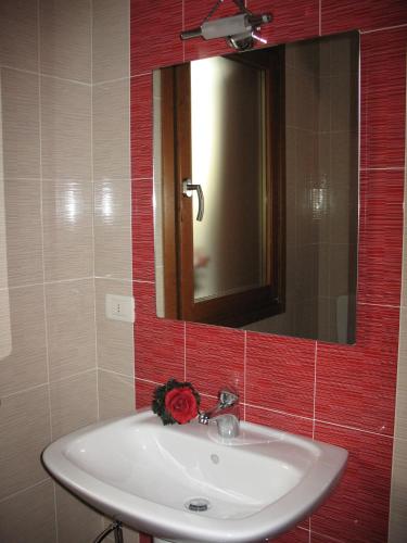 a bathroom with a white sink and a mirror at Agriturismo Ballaminut in Terzo dʼ Aquiléia
