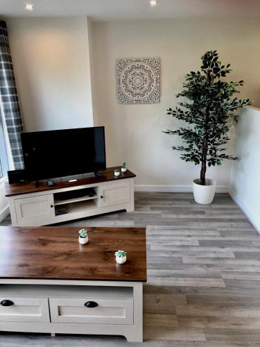 a living room with a tv and a potted tree at The Paramount, Swindon in Swindon