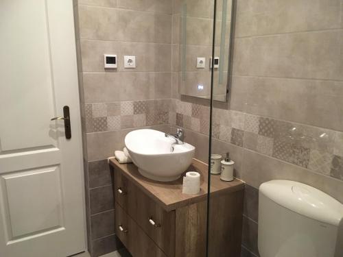 a bathroom with a sink and a toilet and a shower at Tisza Dream Apartman in Tiszakécske