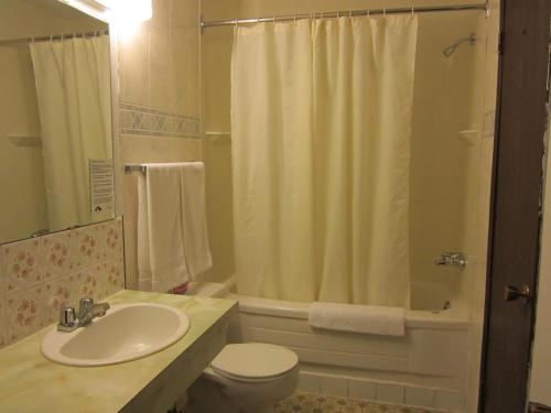 Viking Lamplighter Motel – Photos 5