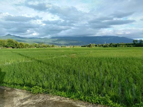a field of green grass with mountains in the background at Sleep & fishing Pua in Nan