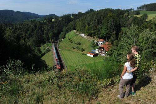 two people standing on a hill looking at a train at Unterhohnenhof in Triberg