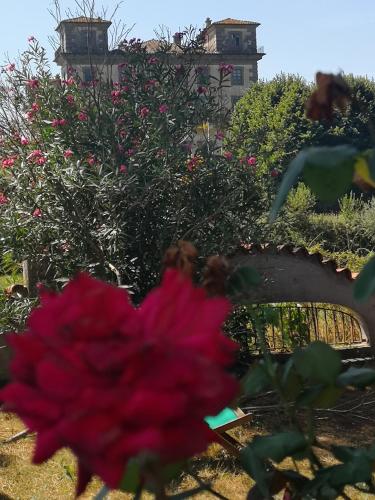 a pink flower in the foreground with a house in the background at Villa Artemisia in Borgo a Buggiano