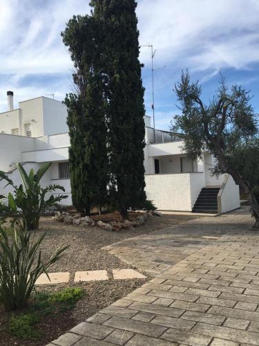 Foto La casa accanto 6