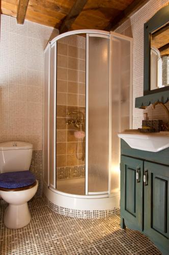 a bathroom with a shower and a toilet and a sink at Kivotos Epavlis in Prespes