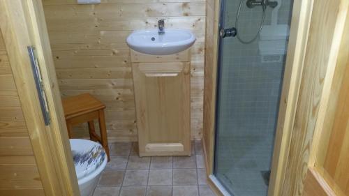 a bathroom with a sink and a shower and a toilet at Camping de la Pelouse in Jaulny