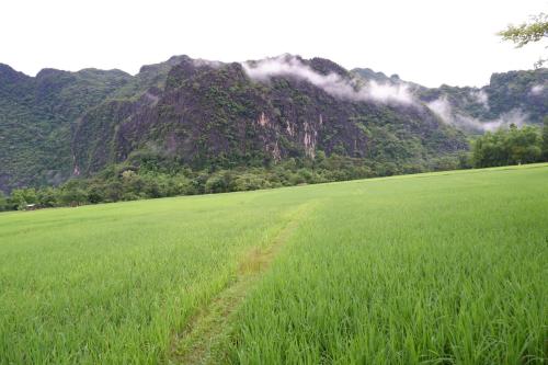 a field of green grass with a mountain in the background at Letana Guesthouse in Ban O