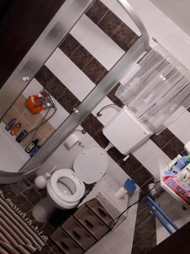 mit Blick auf ein Bad mit WC und Waschbecken in der Unterkunft Guest House Jevtović in Sremski Karlovci