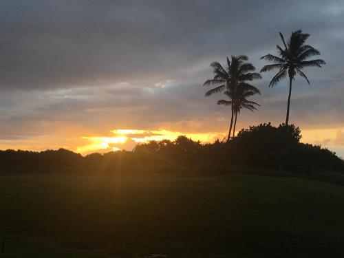 a sunset with two palm trees on a golf course at Mauna Kai'iki in Pahala