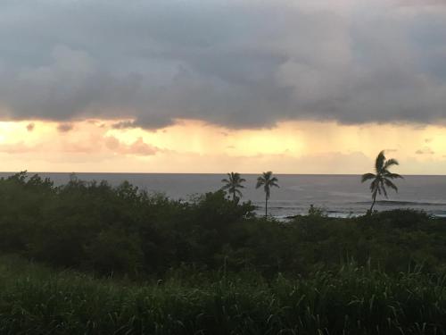 a sunset over the ocean with two palm trees at Mauna Kai'iki in Pahala