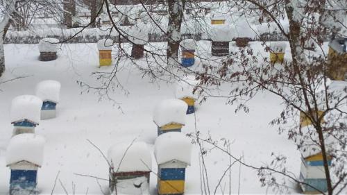a snow covered yard with a bunch of bird houses at Dom "Honorat", Kamianna 70, 33-336 in Kamianna