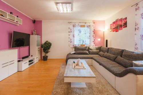 a living room with a couch and a tv at Apartments Lake Bohinj Medja in Bohinj