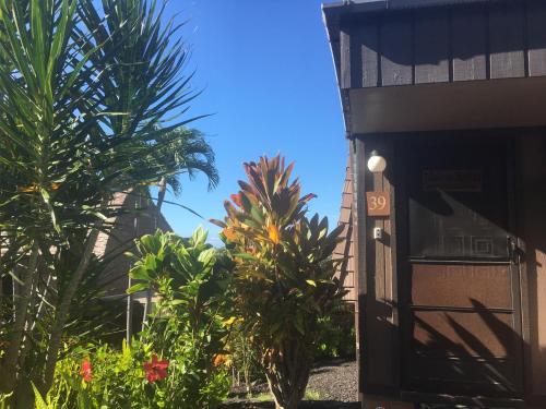 a group of palm trees next to a building at Mauna Kai'iki in Pahala