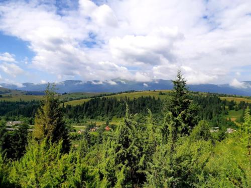 a view of a field with trees and clouds at Gostynna Rodyna in Izki