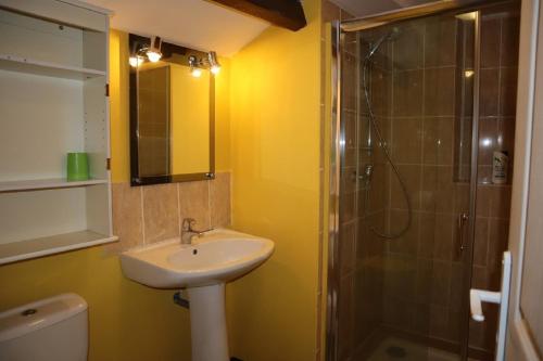 een badkamer met een wastafel en een douche bij Domaine des Tilleuls in Marcillac