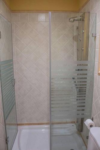 a shower with a glass door in a bathroom at Martin Gamero Apartments in Toledo