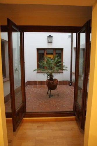 a hallway with a potted plant in a room at Martin Gamero Apartments in Toledo
