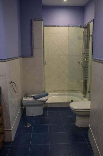 a bathroom with a toilet and a tub and a sink at Martin Gamero Apartments in Toledo