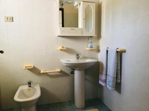 聖瑪莉亞德芙卡洛的住宿－CASA VACANZA PALMENTO BELLA，一间带水槽、卫生间和镜子的浴室