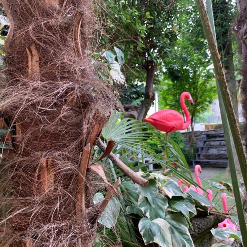 a group of pink flamingos in a garden at Il Giardino Segreto Arona, Charming Apartments in Arona