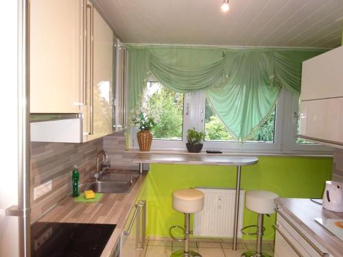 eine grüne Küche mit einem Waschbecken und einem Fenster in der Unterkunft Private Ferienwohnung Lan in Bad Rothenfelde