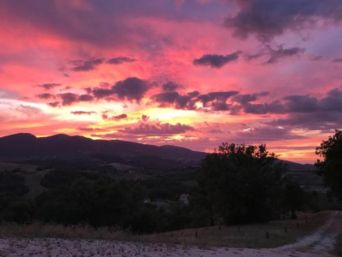 a sunset over a dirt road in a field at Casale Fusco in Spoleto