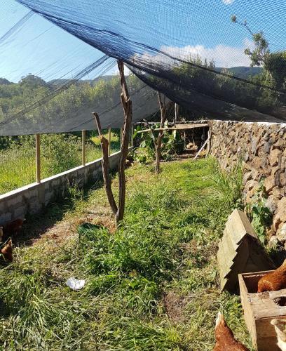 a fence with a net in a field of grass at Quinta Rico in Quatro Ribeiras