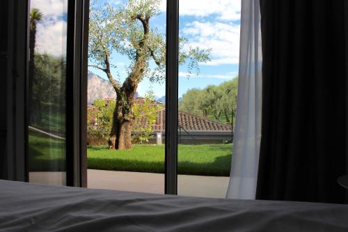 a bedroom with a window looking out at a tree at My Lake Apartments in Malcesine