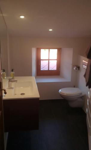 a bathroom with a toilet and a sink and a window at Chambres d'hôtes La Prévôté - Ancien couvent contre la Cathédrale in Le Puy en Velay