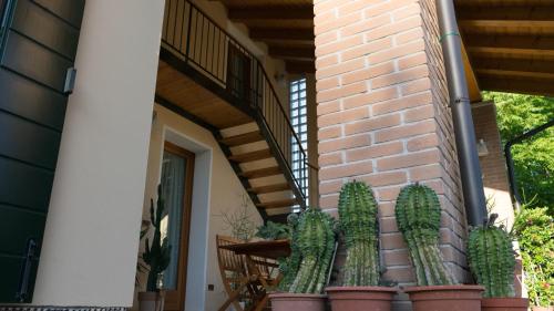 a cactus in a pot next to a building at Antico Alveo in Camponogara
