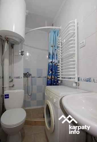 a bathroom with a toilet a sink and a washing machine at Садиба У Гайдука in Vizhenka