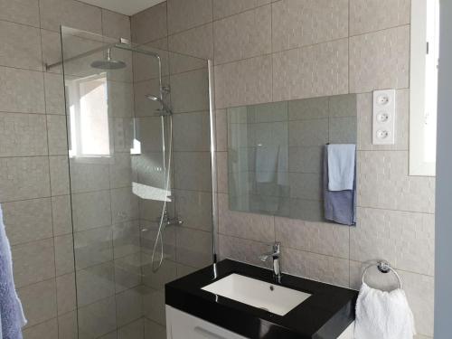 La salle de bains est pourvue d'un lavabo et d'une douche. dans l'établissement Villa di Pardisoli, à Prunelli-di-Fiumorbo
