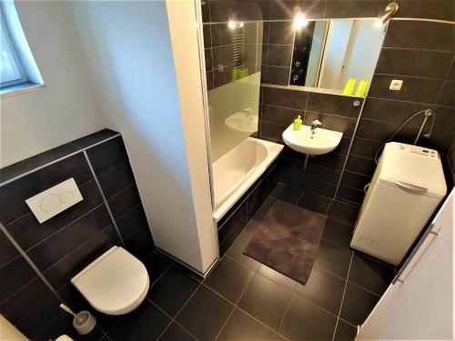 a bathroom with a toilet and a tub and a sink at Apartmán Lenka in Boršice
