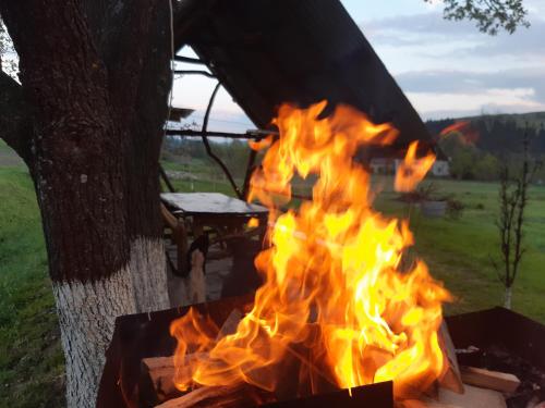a fire in a grill next to a tree at Gostynna Rodyna in Izki