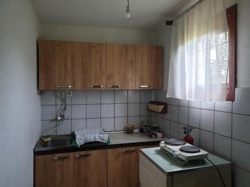 Gallery image of Danica House in Krivolak