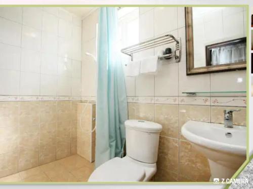 W łazience znajduje się toaleta, umywalka i prysznic. w obiekcie Ju Jia Xiao Zhan Homestay w mieście Guanshan