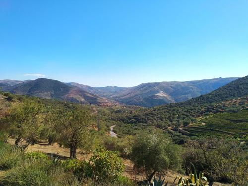 a view of a valley with mountains in the background at Quinta Vale de Carvalho in Pinhal do Douro