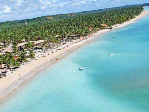 an aerial view of a beach with palm trees at Suítes&Flats MarBello in Maragogi