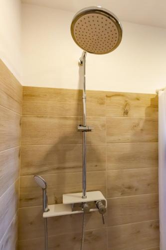 a shower in a bathroom with a shower head at Arya vila in Piešťany