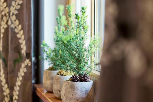 a row of potted plants sitting on a window sill at Landhotel Untermüllnergut in Dorfgastein