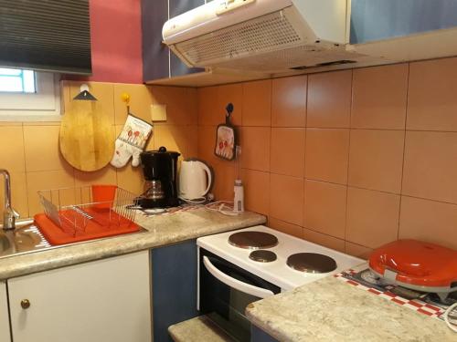 kuchnia z kuchenką i blatem w obiekcie The Best Offer w Prewezie