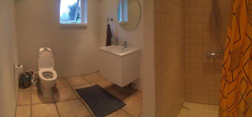 een badkamer met een toilet en een wastafel bij Happy Hill Farm in Gilleleje