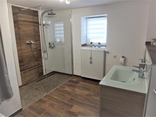 La salle de bains est pourvue d'une douche et d'un lavabo. dans l'établissement Biggi, à Trittenheim