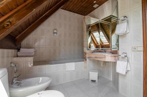 a bathroom with a sink and a toilet and a mirror at Hotel Fonfreda in Vielha