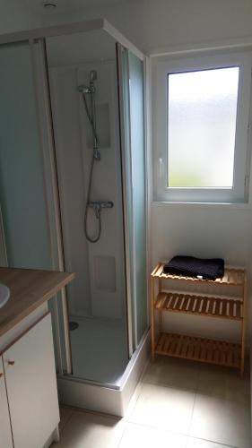 La salle de bains est pourvue d'une douche et d'une fenêtre. dans l'établissement Chalet Les dauphins, à Saint-Georges-de-la-Rivière