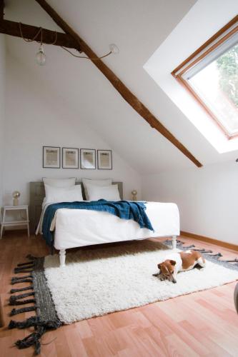 a bedroom with a bed and a dog on a rug at La Ville Tanet in Landéhen